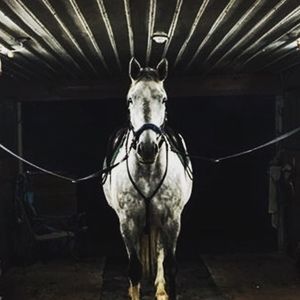 Meet your Posher, Julia